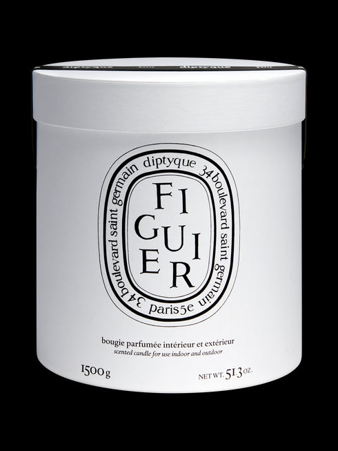 Figuier / Fig Tree Giant Candle